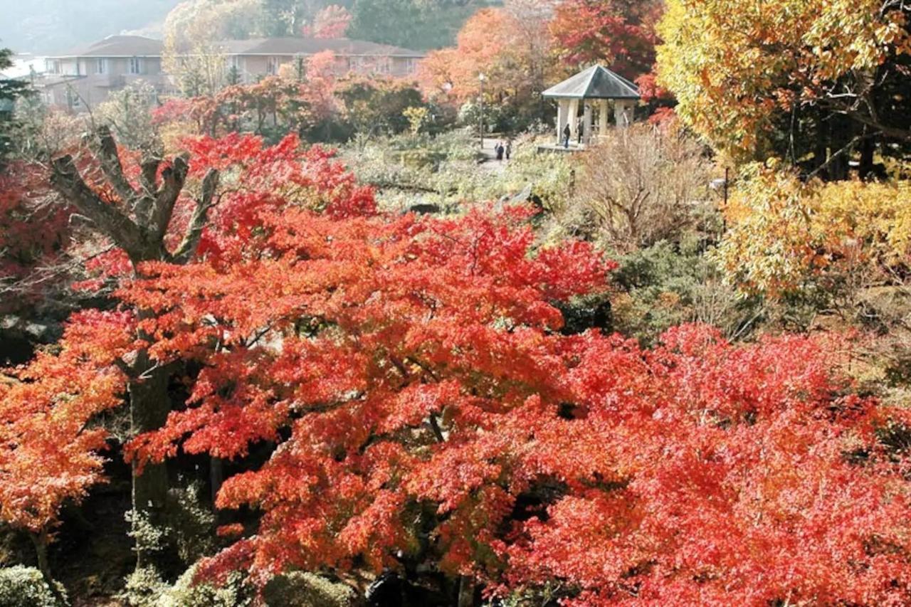 Forest Villa Hakone - Vacation Stay 05424V Εξωτερικό φωτογραφία